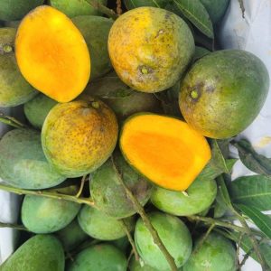 হিমসাগর আম (১০) কেজির ক্যারেট